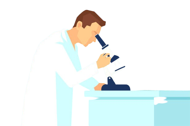 Echocardiography Image